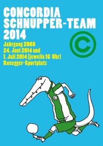 Schnupperkurs2008