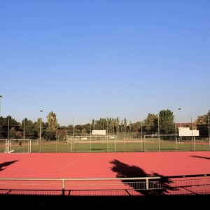 IMG_5433
