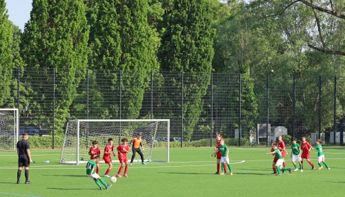 230606 Niedereschbach 03