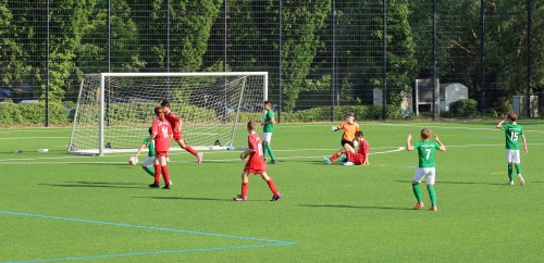 230606 Niedereschbach 05