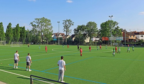 230606 Niedereschbach 10