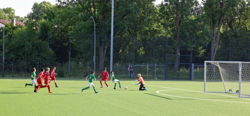 230606 Niedereschbach 16