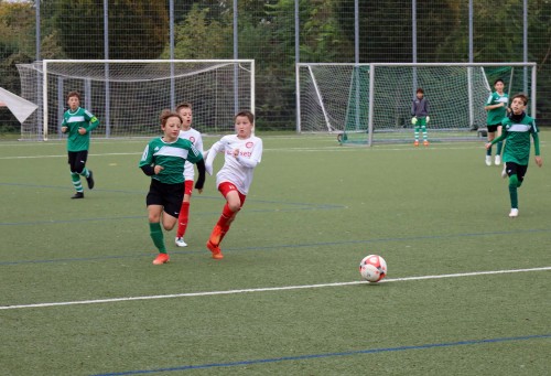 231029 Sachsenhsn 03