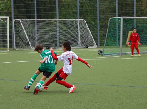 231029 Sachsenhsn 29