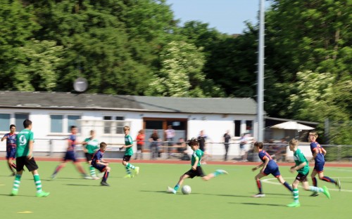 240512 Frankfurter Berg 12